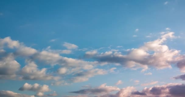Проміжок Часу Кліп Сірої Пухнастої Фігурної Прокатки Хмар Вітряну Погоду — стокове відео