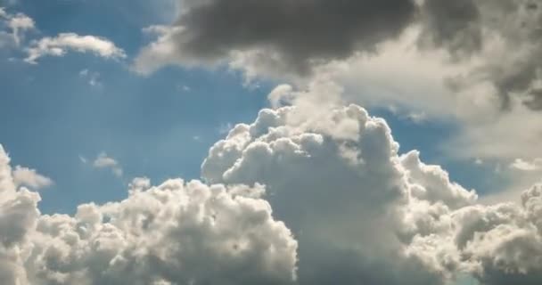 太陽光と風の強い天気の嵐の前にグレーのふわふわ巻き毛圧延雲の時間経過クリップ — ストック動画