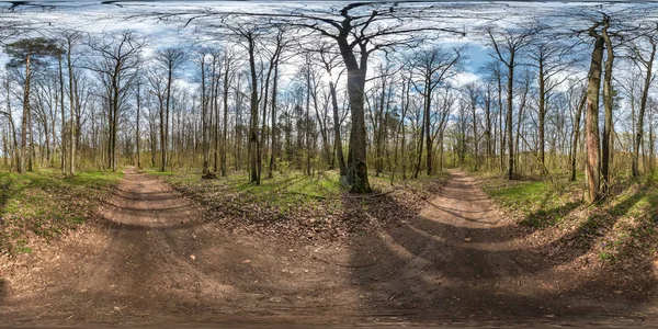 Πλήρες σφαιρικό HDRI πανόραμα 360 μοίρες θέα γωνία σε χωματόδρομο πεζοδρομίων και ποδηλατικές διαδρομές μονοπατιού σε δάσος κοντά σε τεράστιες βελανιδιές στην ηλιόλουστη μέρα της άνοιξης σε ισοορθογώνια προβολή. Περιεχόμενο VR AR — Φωτογραφία Αρχείου