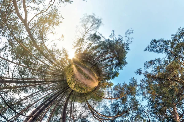 Маленькая планета сферическая панорама 360 градусов. Воздушный вид на лес в прекрасный день. Кривизна пространства — стоковое фото