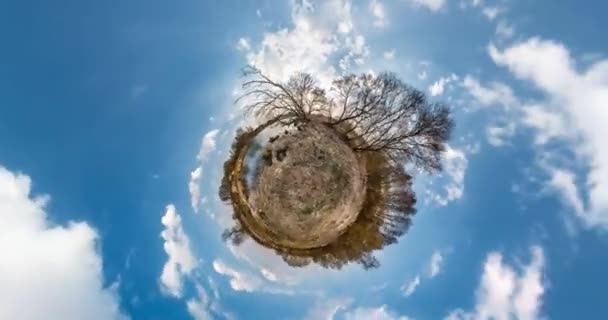 いいえVr 小さな惑星の変換は 宇宙の曲率を持つ 村の公園の風景の空に上昇と完全なフライバイパノラマ — ストック動画