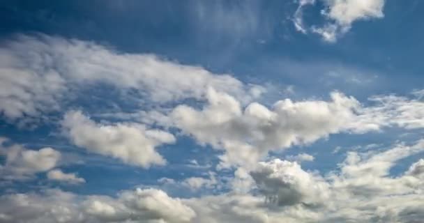 Time Lapse Klipp Flera Fluffiga Lockigt Rullande Moln Lager Blåsigt — Stockvideo