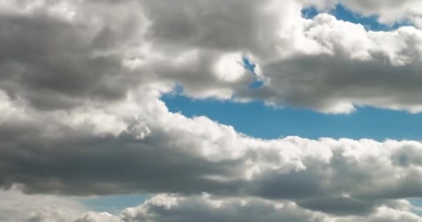 Time Lapse Klipp Flera Fluffiga Lockigt Rullande Moln Lager Blåsigt — Stockvideo