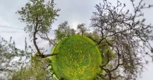 Маленька Планета Перетворення Викривленням Простору Анотація Торсіона Прядіння Повної Панорами — стокове відео