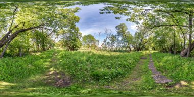 tam sorunsuz küresel hdri panorama 360 derece equirectangular projeksiyon, hazır Vr Ar sanal gerçeklik içeriği orman çalıları arasında bisiklet ve yaya yürüyüş yolu açı görünümü