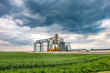 Tarımsal ürünlerin, un, tahıl ve tahıl ile güzel bulutların temizlenmesi ve saklanması için işleme ve Silolar için tarımsal işleme tesisi