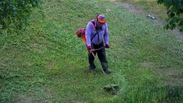 トップビュー脂肪汚れた芝生の男の労働者は芝刈り機で乾燥した草を切断 — ストック動画