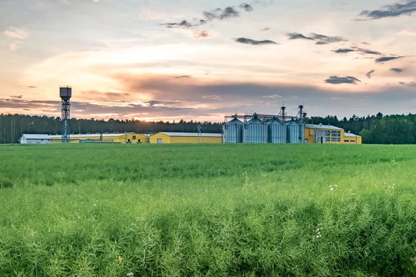 Pabrik pengolahan agro untuk pengolahan dan silo untuk pengeringan dan penyimpanan produk pertanian, tepung, sereal dan biji-bijian dengan awan yang indah — Stok Foto