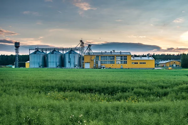 Agrar-Verarbeitungsanlage zur Verarbeitung und Silos zum Trocknen von Reinigung und Lagerung landwirtschaftlicher Produkte, Mehl, Getreide und Getreide mit schönen Wolken — Stockfoto