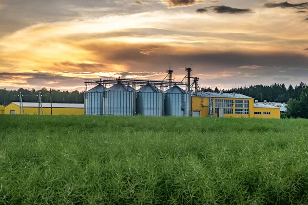 Agro-processing plant for processing and silos for drying cleaning and storage of agricultural products, flour, cereals and grain with beautiful clouds — Stock Photo, Image