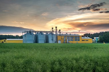 Agro-işleme tesisi işleme ve kurutma temizleme ve tarım ürünleri, un, tahıl ve tahıl depolama siloları