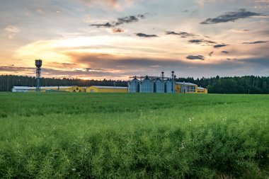 Agro-işleme tesisi işleme ve kurutma temizleme ve tarım ürünleri, un, tahıl ve tahıl depolama siloları