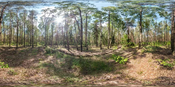 Completo esférico hdri panorama 360 grados ángulo de vista en grava peatonal sendero y carril bici en pinery y bosque de Abedul Grove en soleado día de primavera en proyección equirectangular. Contenido VR AR — Foto de Stock