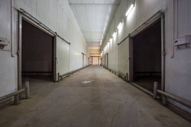 Depo stokundaki meyve ve sebzeler için hangar. üretim ambarı. Bitki Endüstrisi