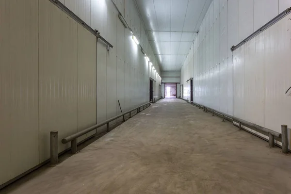 Empty hangar for fruits and vegetables in storage stock. production warehouse. Plant Industry