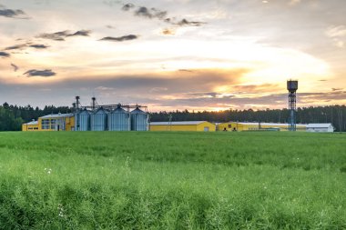Agro-işleme tesisi işleme ve cleani kurutma silolar için
