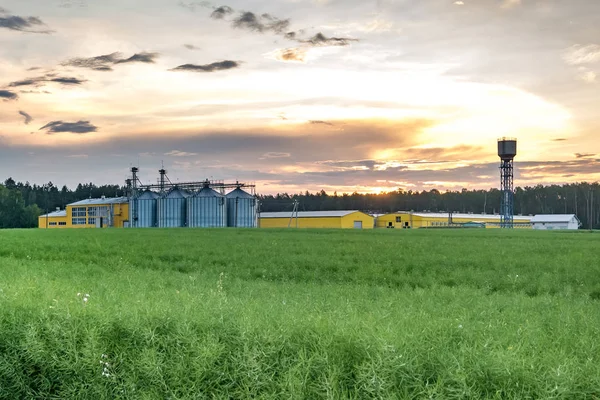 Agro-feldolgozó üzem a feldolgozás és szárítás cleani silók — Stock Fotó