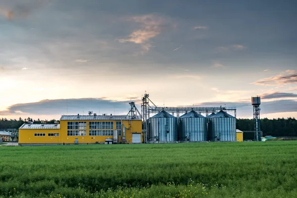 Agrar-Aufbereitungsanlage für die Verarbeitung und Silos für die Trocknung von Reinigungsmitteln — Stockfoto