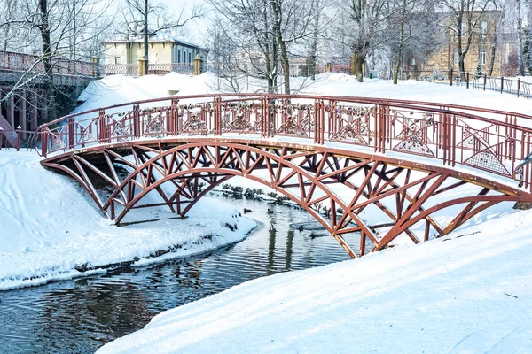 Πανόραμα του ένα πάρκο χιονισμένη πόλη με ένα ποτάμι και γέφυρα — Φωτογραφία Αρχείου