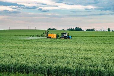 Farmer spraying wheat field with tractor sprayer at spring season clipart