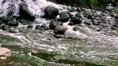Kentsel kanalizasyon kanalizasyon boşaltma bölgesi karıştırma. nehir kirliliği. Şehir dökümleri. dağ dere ve şelale