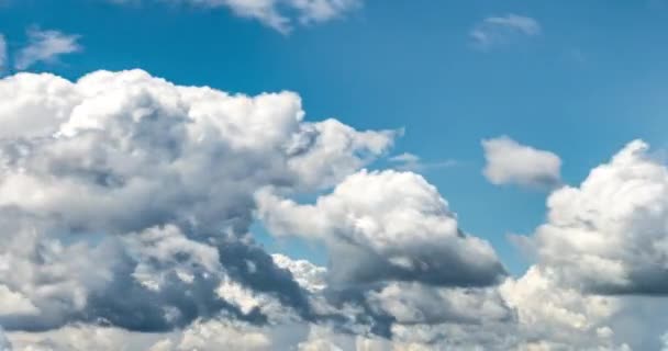 Tidsfördröjning Klipp Flera Cumulus Fluffy Lockigt Rullande Molnlager Blåsigt Väder — Stockvideo