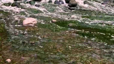 Kentsel kanalizasyon kanalizasyon boşaltma bölgesi karıştırma. nehir kirliliği. Şehir dökümleri. dağ dere ve şelale