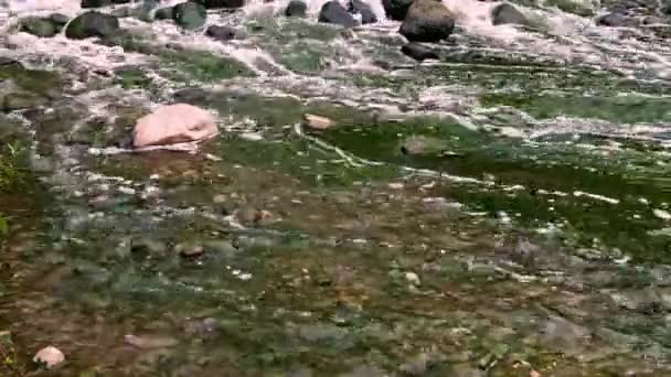 Zone Mélange Des Rejets Eaux Usées Urbaines Pollution Fluviale Décharges — Video