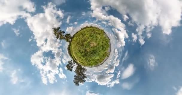 공간의 곡률과 초원의 풍경의 하늘로 상승과 파노라마의 추상적 비틀림과 떨어지는 — 비디오