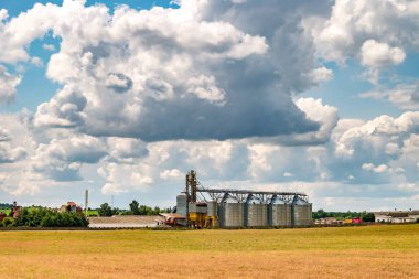 Agro-işleme tesisi işleme ve kurutma temizleme ve tarım ürünleri, un, tahıl ve tahıl depolama siloları