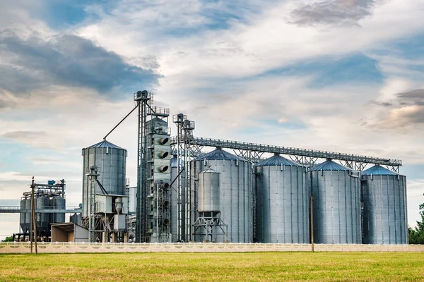 Planta de transformación agrícola para la transformación y silos de secado, limpieza y almacenamiento de productos agrícolas, harina, cereales y cereales — Foto de Stock