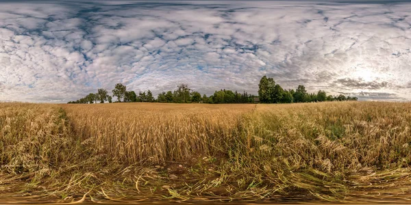 Full seamless spherical hdri panorama 360 degrees angle view among harvested rye and wheat fields with Hay bales in summer day with beautiful cirrocumilus clouds in equirectangular projection — Stock Photo, Image