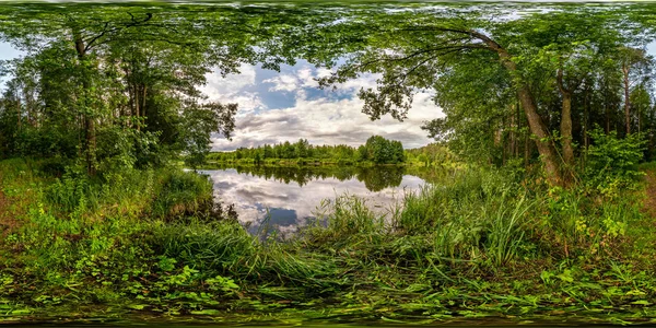 Pürüzsüz küresel hdri panorama 360 derecelik açıyla nehir veya göl kenarındaki orman çalıları arasında yürüme yolu eşdörtgen projeksiyonlu, hazır VR AR sanal gerçeklik içeriği