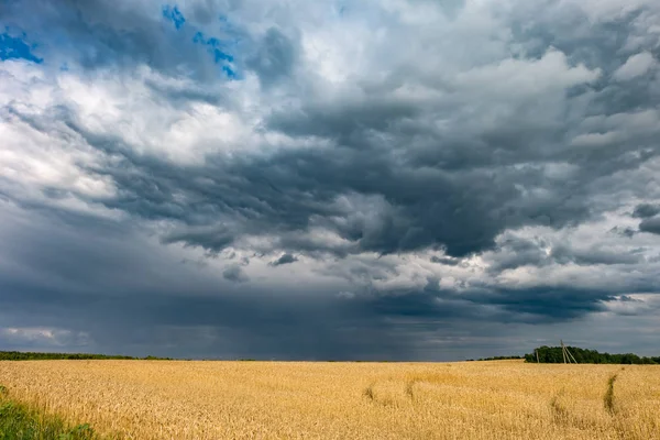 Panorama hdr sur la route asphaltée entre les champs en soirée avec des nuages noirs impressionnants avant la tempête — Photo