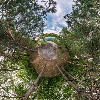 Küresel panorama360 derece küçük gezegen dönüşümü. Güzel bir akşam çam ormanı küresel soyut hava görünümü. Uzayın eğriliği.