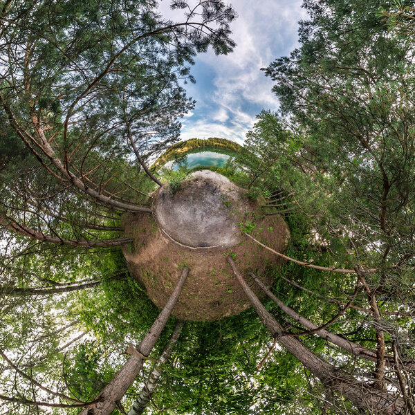 Little planet transformation of spherical panorama 360 degrees. Spherical abstract aerial view in pinery forest  in nice evening. Curvature of space.