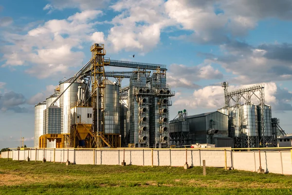 Silos de plata en la planta de fabricación agrícola para el procesamiento de secado limpieza y almacenamiento de productos agrícolas, harina, cereales y granos con hermosas nubes — Foto de Stock