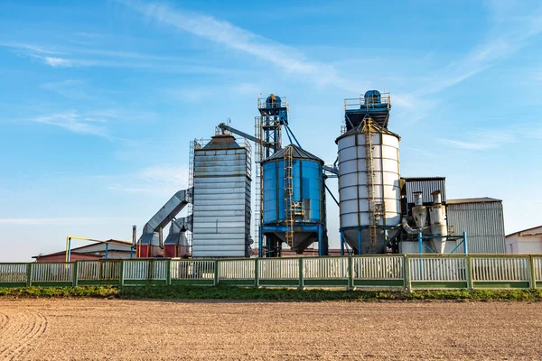 Silver silos on agro manufacturing plant for processing drying c — Stock Photo, Image