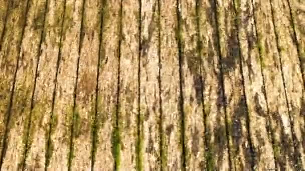 Chorros Agua Fluyen Sobre Tablas Madera Brillan Brillan Sol — Vídeos de Stock