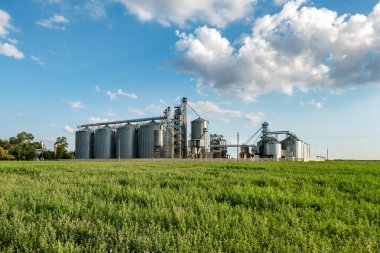 tarımsal ürünlerin, un, tahıl ve tahılın kurutulma ve depolanması için tarımsal üretim tesisinde gümüş silolar. Granary asansör