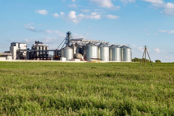 Silos de plata en la planta de fabricación agrícola para el procesamiento de secado limpieza y almacenamiento de productos agrícolas, harina, cereales y granos. Ascensor granero — Foto de Stock