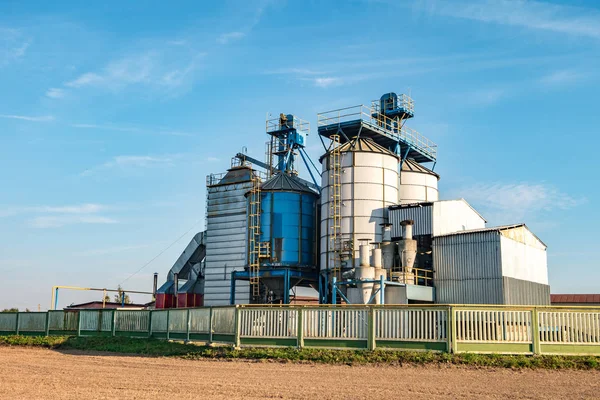 Silos de plata en la planta de fabricación agrícola para el procesamiento de secado limpieza y almacenamiento de productos agrícolas, harina, cereales y granos. Ascensor granero — Foto de Stock