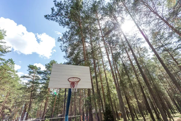 Çam ormanında oyun alanı ve basketbol sahasında salıncak ve yatay çubuklar — Stok fotoğraf