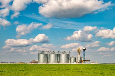 kurutma c işleme için tarımsal üretim tesisi üzerinde gümüş silolar