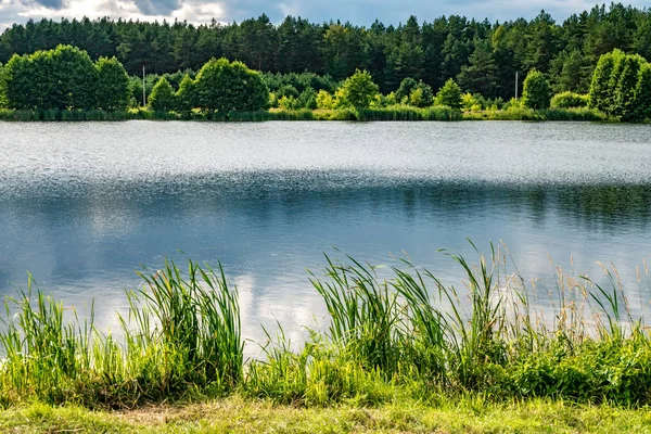 Reflejo en el agua de un gran lago forestal — Foto de Stock
