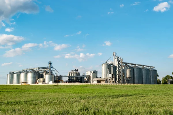 Zilver silo's op agro-productie-installaties voor de verwerking van drogen c — Stockfoto