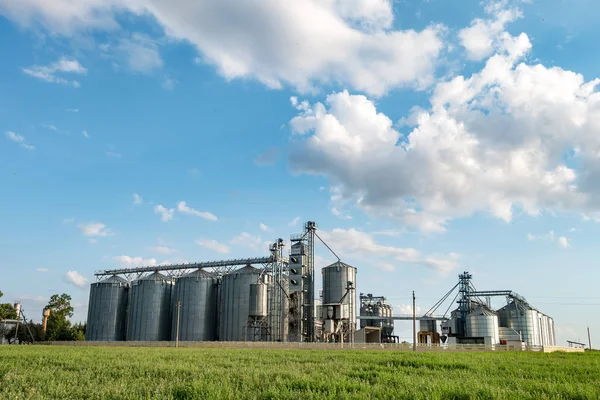 Agro-verwerkingsbedrijf voor verwerking en silo's voor het drogen van cleani — Stockfoto