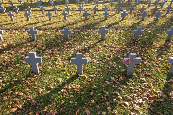 Muchas cruces grises idénticas en el cementerio militar polaco. otoño y puesta del sol de la vida. lucha por la congregación y la independencia de la patria —  Fotos de Stock