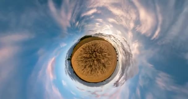 Маленька Планета Перетворення Викривленням Простору Анотація Крутиться Крутиться Повна Панорама — стокове відео