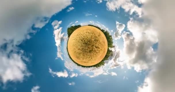 Маленька Планета Перетворення Викривленням Простору Анотація Крутиться Крутиться Повна Панорама — стокове відео
